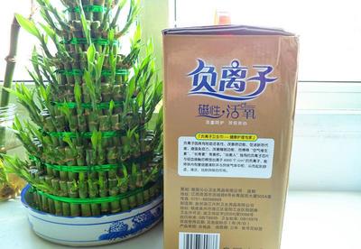 【廠家 沁美人負離子衛(wèi)生巾 超吸收 防側(cè)漏 禮盒12包 衛(wèi)生巾】價格_廠家_圖片 -